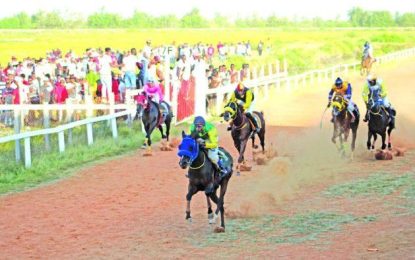 Port Mourant Turf Club takes charge for Boxing Day