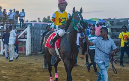 Jockey Patrick upbeat ahead of Jumbo Jet’s Mashramni horse race