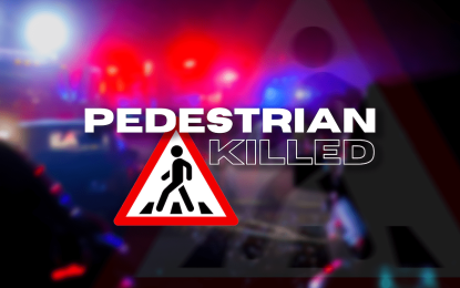 Pedestrian killed in Mon Repos accident
