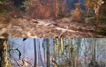 Wildfires rip through farmlands in Lethem