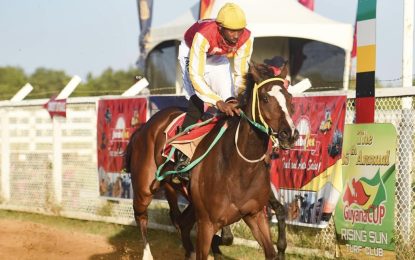Jockey Ross cautious but ready for Jumbo Jet’s horse race on February 25