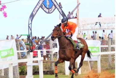 Phagwah horseracing set for March 17 