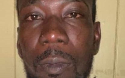 Port Kaituma businessman nabbed with illegal gun, ammo and ‘ganja’