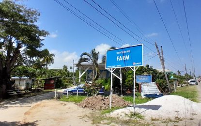 Farm, Mahaicony: A small village with a blinding future