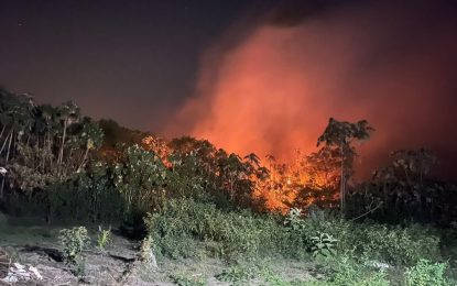 Citizens must exercise caution as upsurge in grass fires noticed – Fire Service