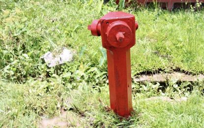 Fire Service reviewing footage to identify vandalism of hydrants
