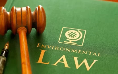 Guyana must implement stricter environmental laws for Foreign Companies in extractive sector