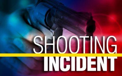 Taxi driver shot by brother during row over girlfriend