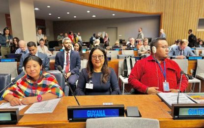 CARICOM committed to empowering Amerindian youths as key stakeholders, partners – Min Sukhai tells 23rd Session of the Permanent Forum on Indigenous Issues