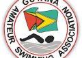 Dolphin Swim Club takes GASA to World Aquatics Integrity Committee
