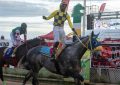 Spankhurst, Stolen Money leads Guyana horseracing earnings
