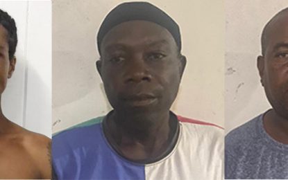 Two butchers charged for slaughtering stolen animals