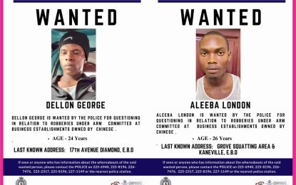 Two wanted by police for armed robberies committed on Chinese establishments