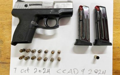 Businessman arrested for discharging loaded firearm at minibus park