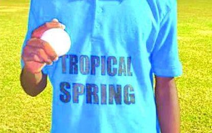 GCB, GCUSA pay tribute to young fallen comrade Stephon Sankar